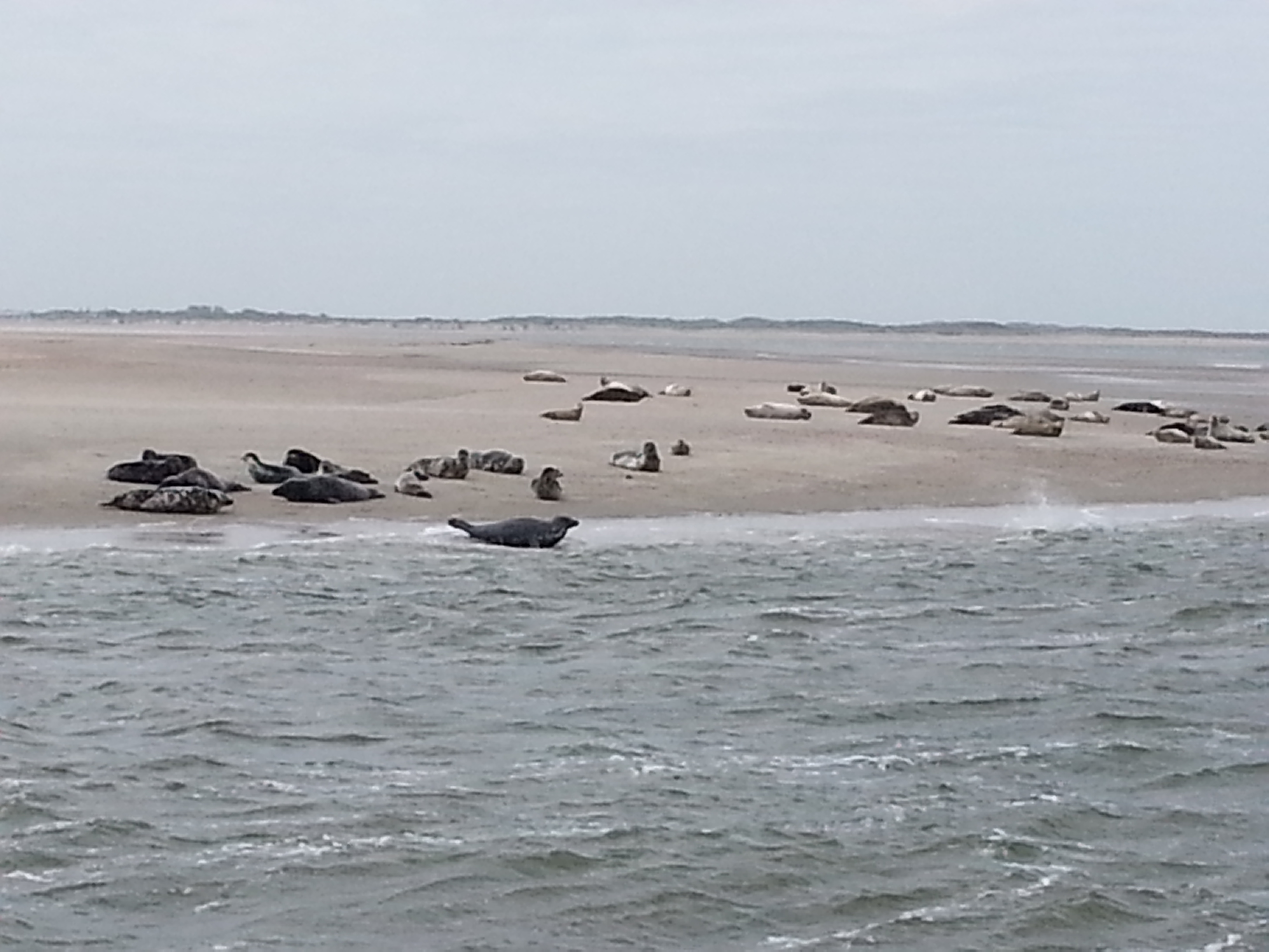 HWK Texel 121.jpg